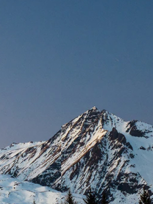 来利国际AG旗舰厅(中国)有限公司官网