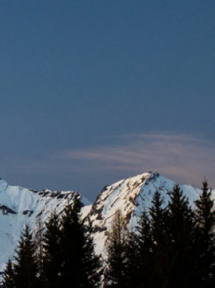 来利国际AG旗舰厅(中国)有限公司官网